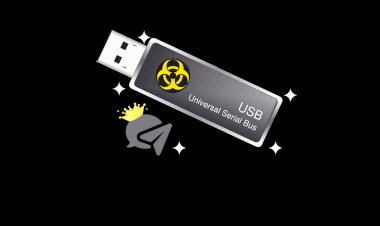 USB Virüs Hatası